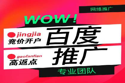 百度推广效果监测与持续优化的真实案例